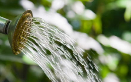 Aus einem Gie&szlig;kannenkopf sprudelt klares Wasser. Der Hintergrund ist verschwommen und gr&uuml;n.