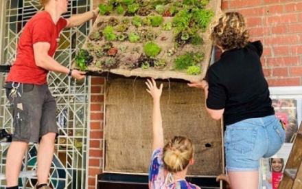 An einer Backsteinwand befestigen drei Menschen eine Tafel mit Moosen und Gr&uuml;npflanzen, eventuell als vertikale Wandbegr&uuml;nung.
