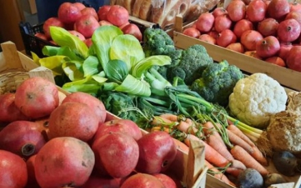 Kisten mit Gem&uuml;se und K&uuml;hlprodukten, die vor dem M&uuml;ll gerettet wurden