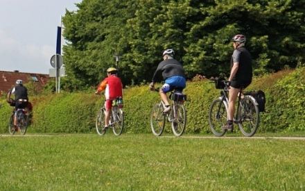 drei Radfahrer radeln entlang einer Wiese
