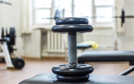 Eine Hantel steht auf einer Bank in einem Trainingsraum f&uuml;r Kraftsport. Im Hintergrund sind verschwommen weitere Trainingsger&auml;te, ein Fenster und ein Heizk&ouml;rper zu sehen.