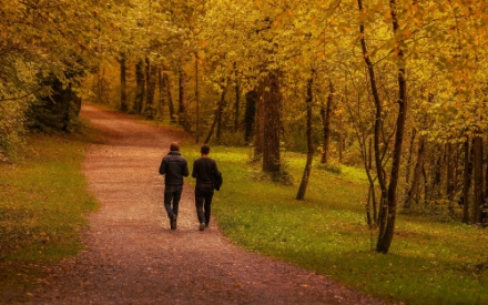 Zwei Menschen gehen im Herbstwald spazieren