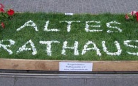 Ein St&uuml;ck Rasen mit Holz umrandet. Auf dem Rasen wurde der Schriftzung "Altes Rathaus" gelegt. Links und rechts am Rasenrand sind rote Blumen gepflanzt.