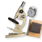 Bildung/ Sensibilisierung & Wissenschaft