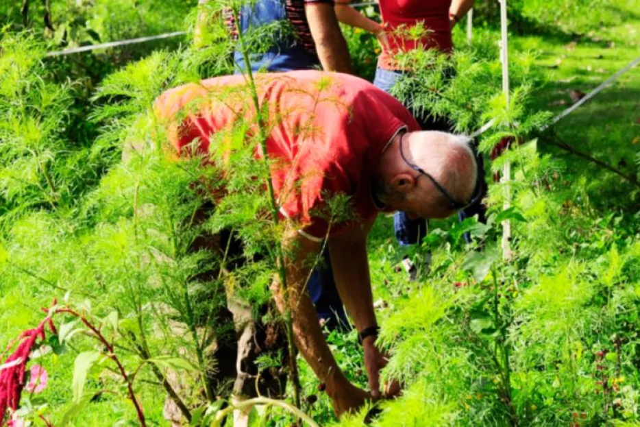 FoodForest Halle