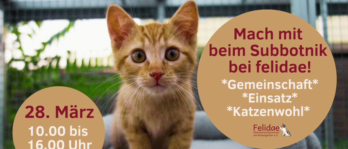 Mitmachen beim Arbeitseinsatz bei felidae