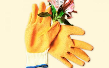 Praktische Einsätze in der Natur Gartenhandschuhe und Blumen